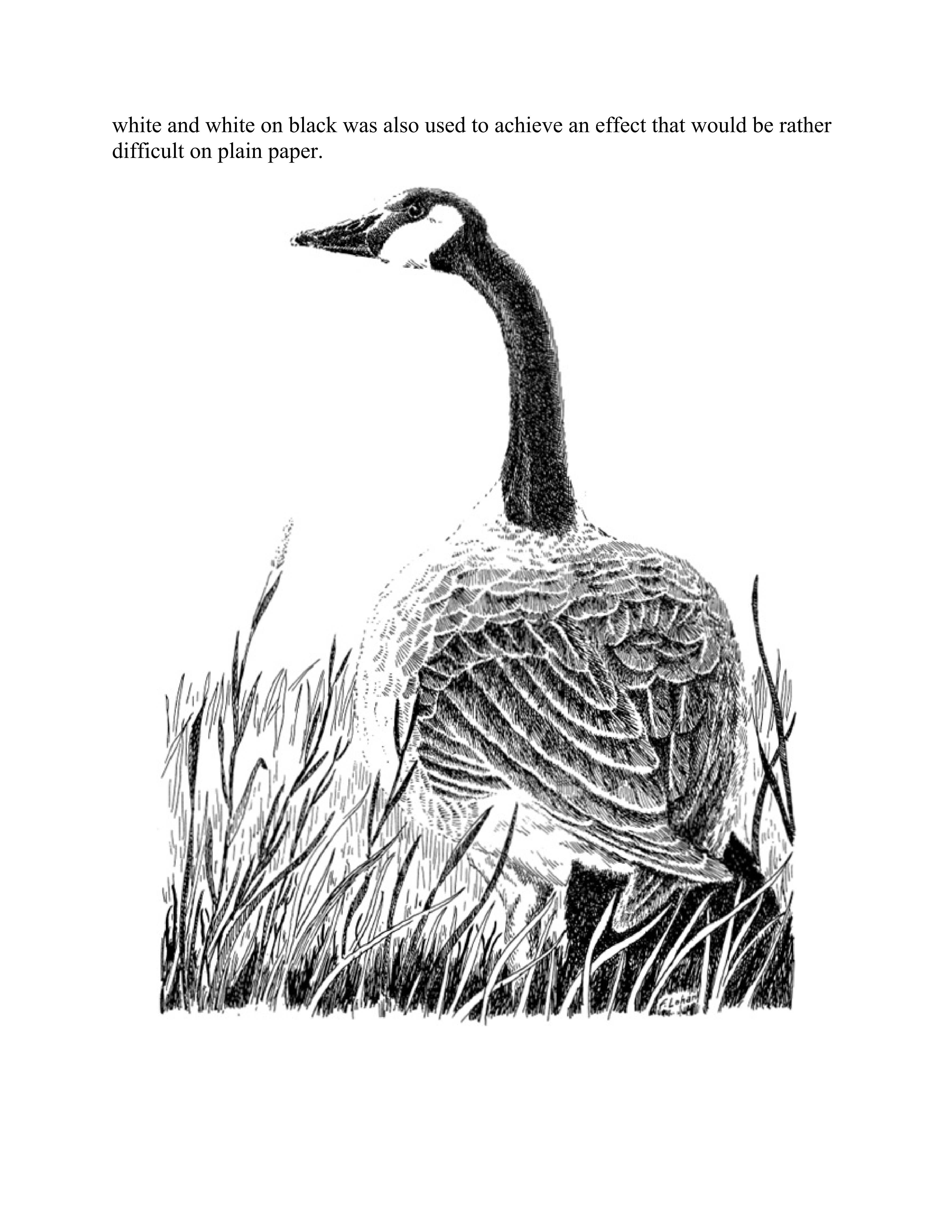 آموزش نقاشی طراحی سیاه قلم شهرری